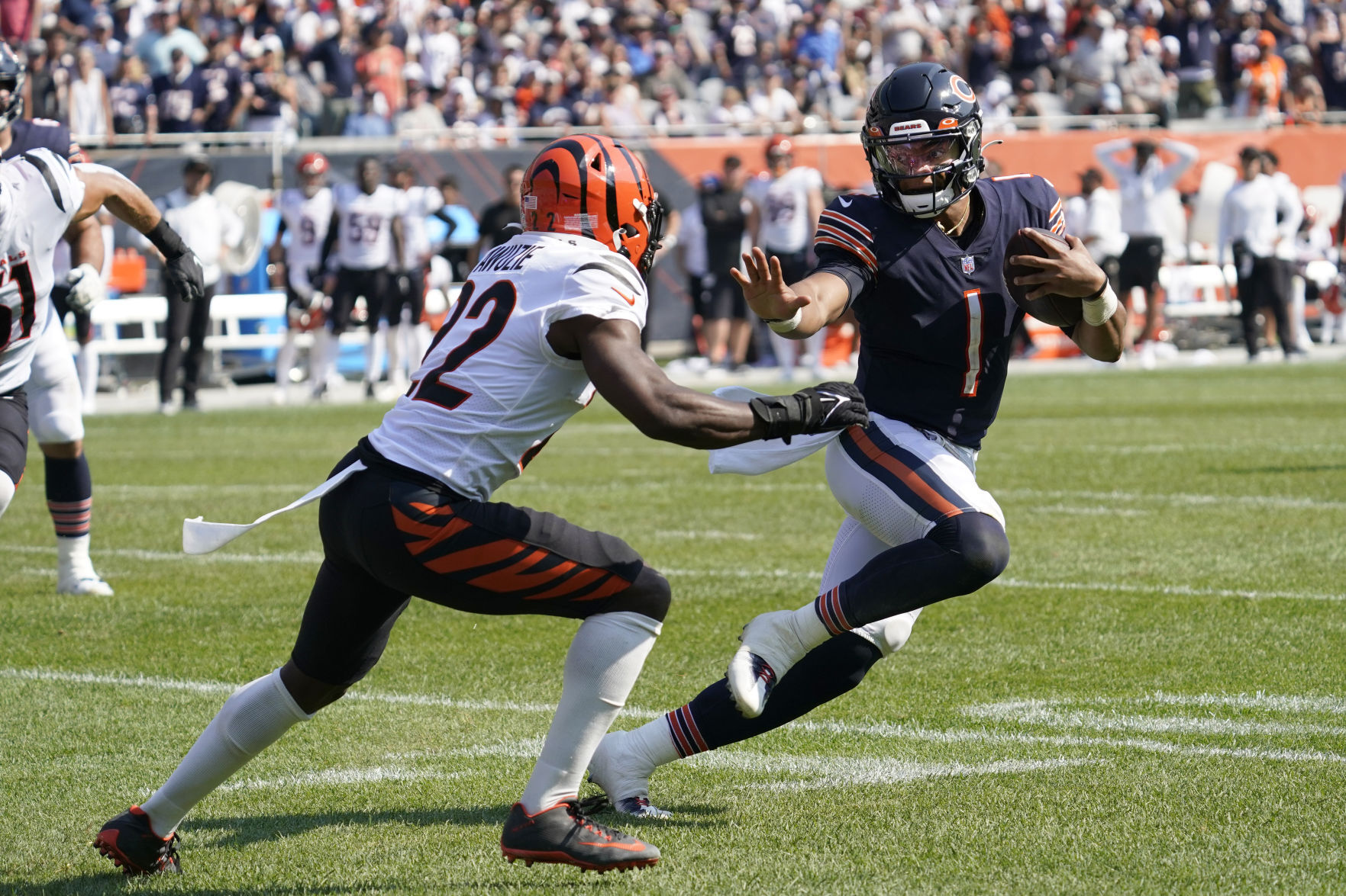 Bengals Bears Football